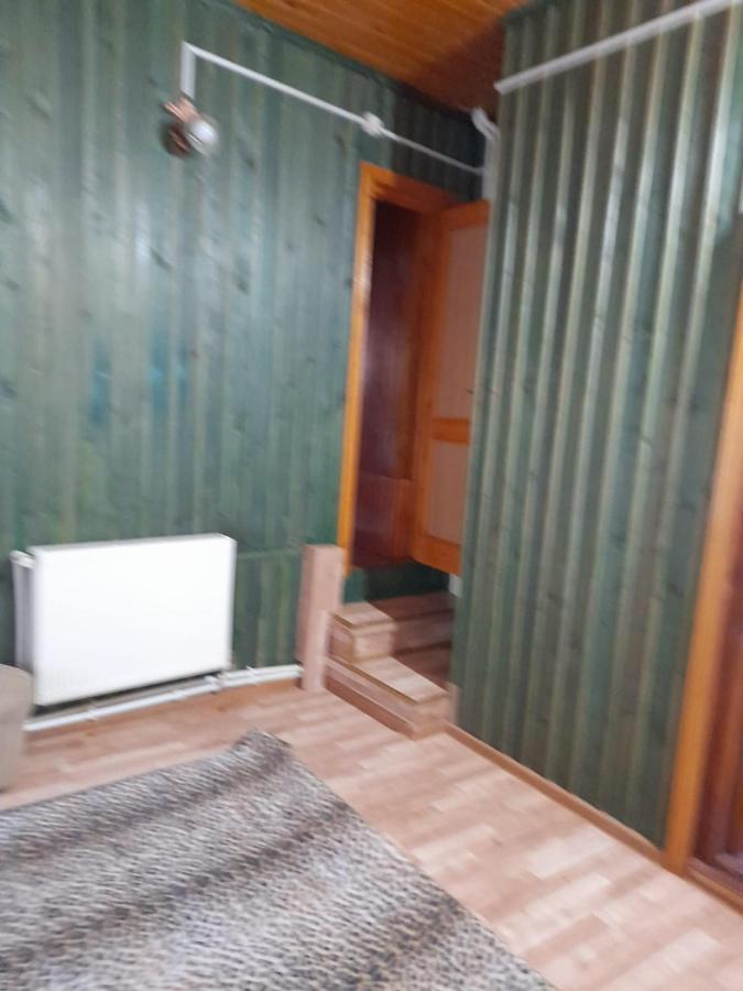 Barlogul Ursilor Lepsa Ξενοδοχείο Εξωτερικό φωτογραφία